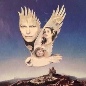 Meet your Posher, Meri